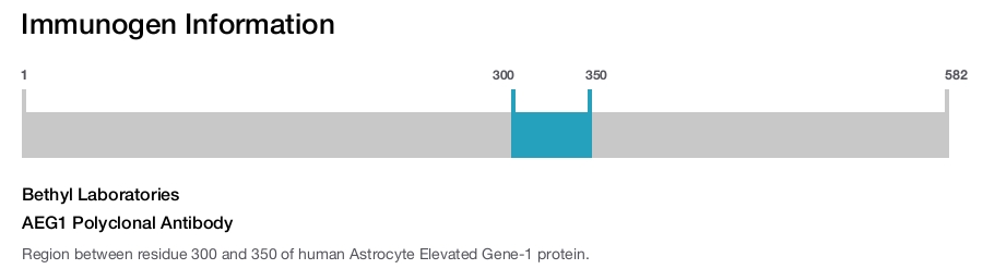 AEG1 Polyclonal Antibody