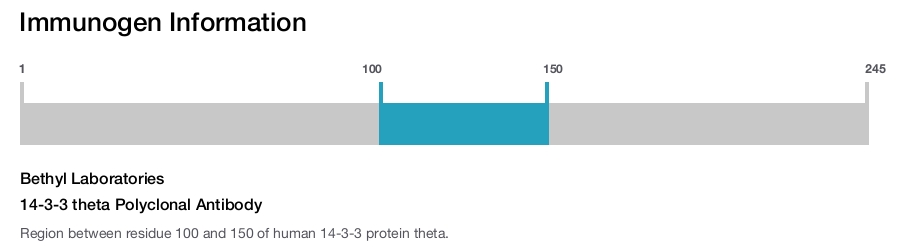 14-3-3 theta Polyclonal Antibody