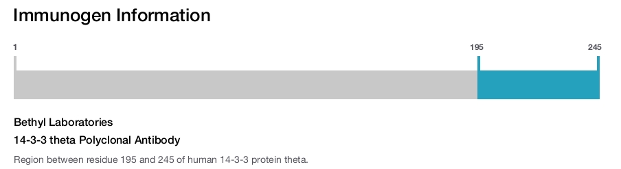 14-3-3 theta Polyclonal Antibody