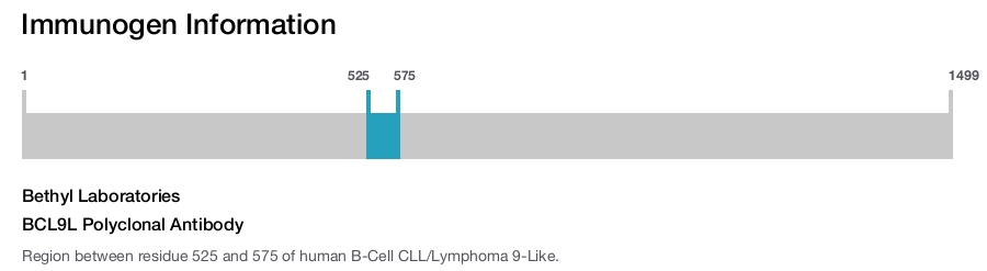 BCL9L Polyclonal Antibody
