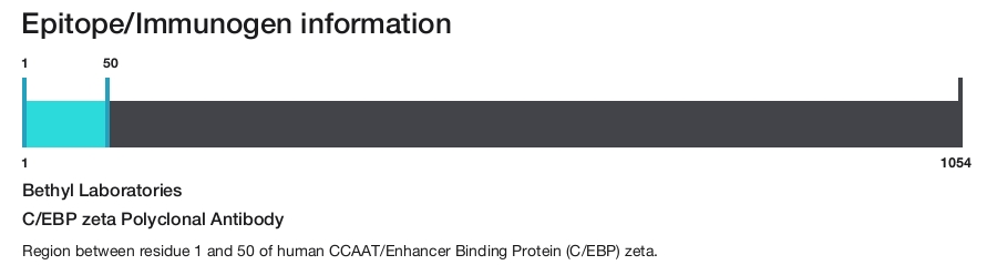 C/EBP zeta Polyclonal Antibody