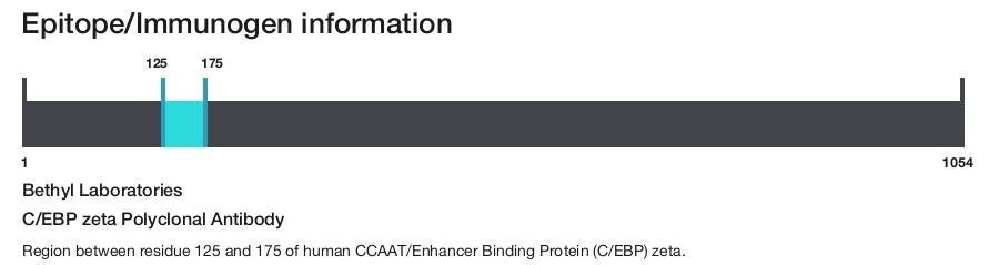 C/EBP zeta Polyclonal Antibody