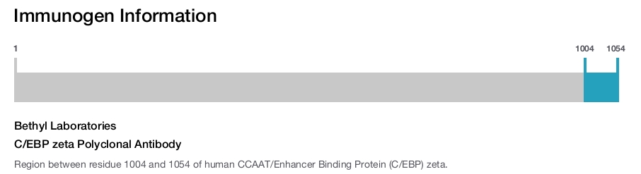 C/EBP zeta Polyclonal Antibody