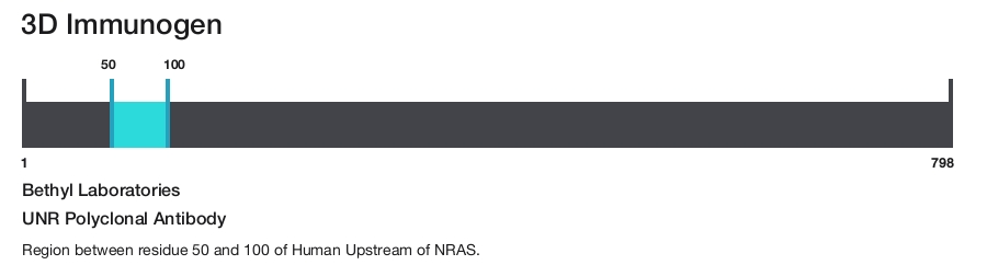 UNR Polyclonal Antibody