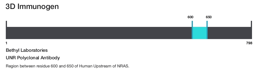 UNR Polyclonal Antibody