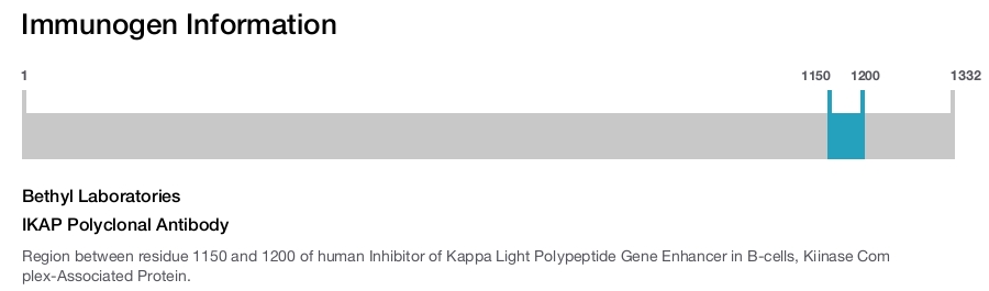 IKAP Polyclonal Antibody