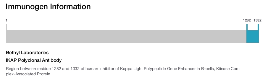 IKAP Polyclonal Antibody