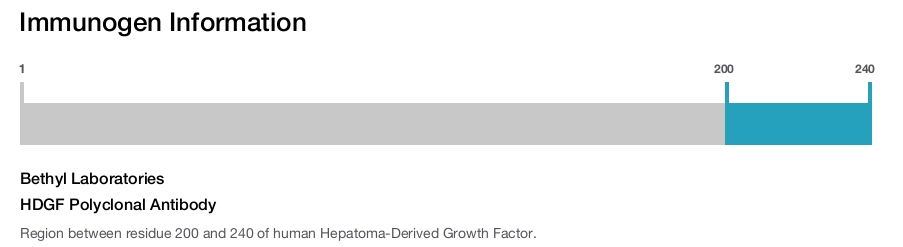 HDGF Polyclonal Antibody