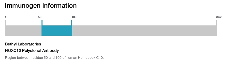 HOXC10 Polyclonal Antibody