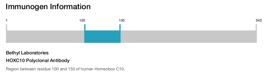 HOXC10 Polyclonal Antibody