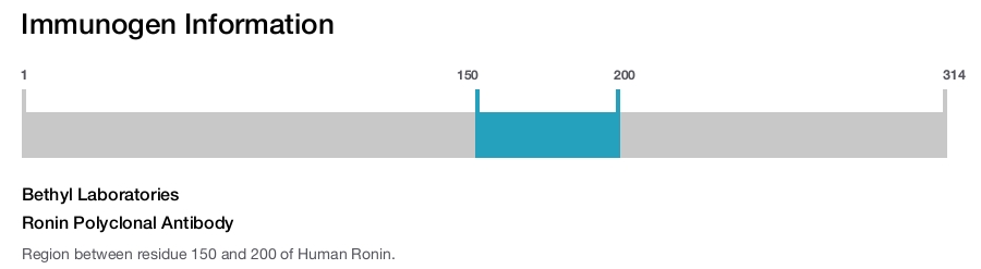 Ronin Polyclonal Antibody