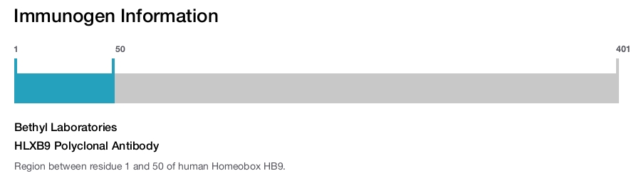 HLXB9 Polyclonal Antibody