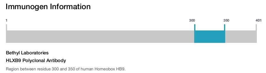 HLXB9 Polyclonal Antibody