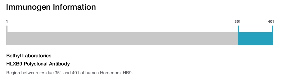 HLXB9 Polyclonal Antibody