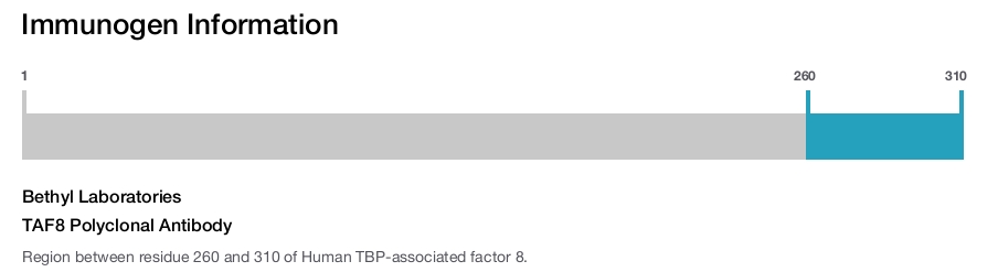 TAF8 Polyclonal Antibody