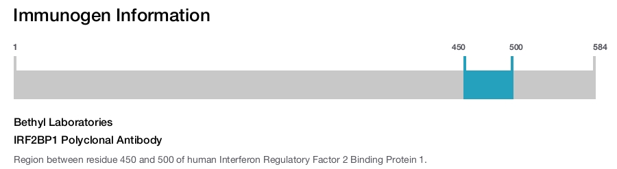 IRF2BP1 Polyclonal Antibody