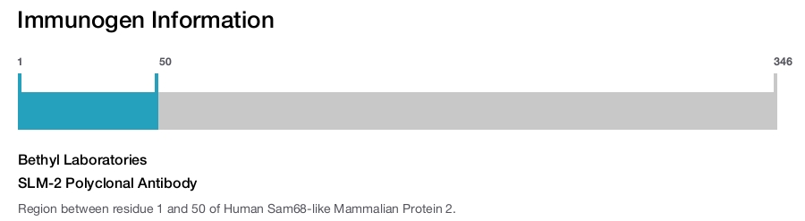 SLM-2 Polyclonal Antibody