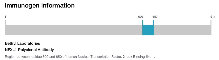 NFXL1 Polyclonal Antibody