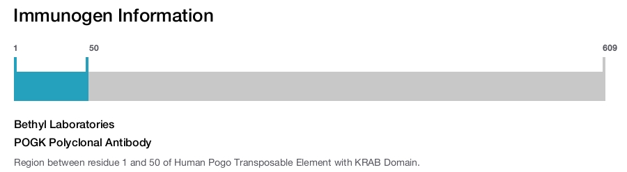 POGK Polyclonal Antibody