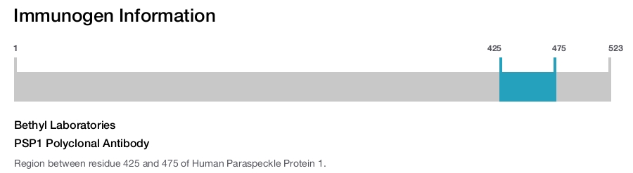 PSP1 Polyclonal Antibody