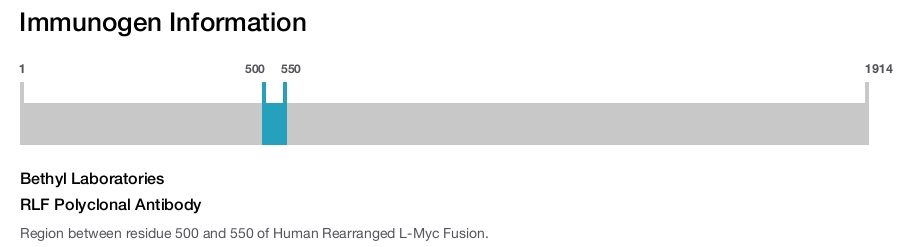 RLF Polyclonal Antibody