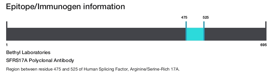 SFRS17A Polyclonal Antibody