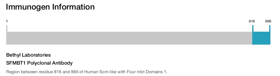 SFMBT1 Polyclonal Antibody