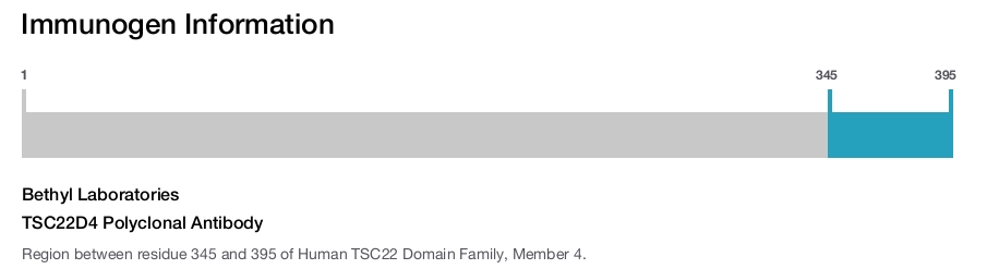 TSC22D4 Polyclonal Antibody