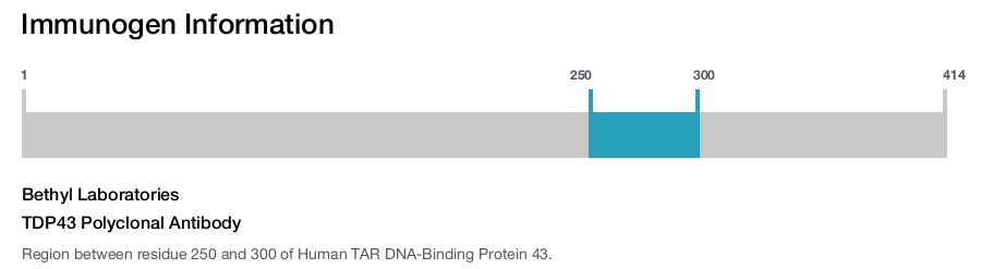 TDP43 Polyclonal Antibody