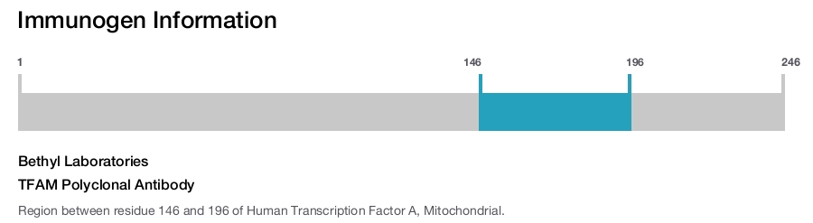 TFAM Polyclonal Antibody