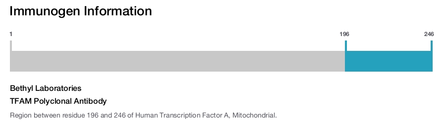 TFAM Polyclonal Antibody
