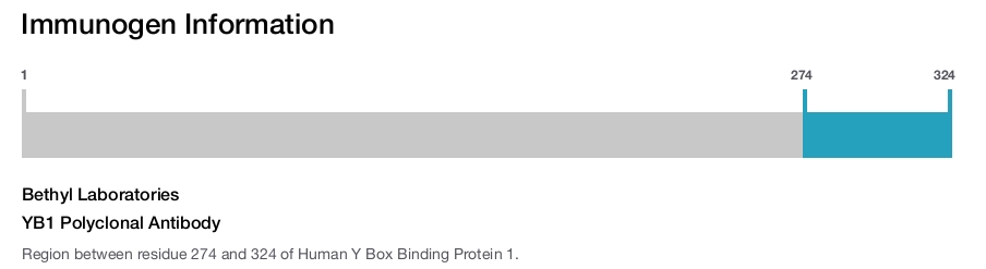 YB1 Polyclonal Antibody