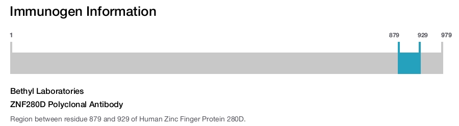 ZNF280D Polyclonal Antibody