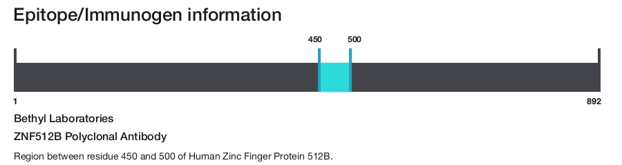 ZNF512B Polyclonal Antibody