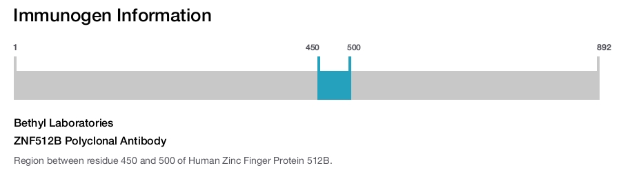 ZNF512B Polyclonal Antibody