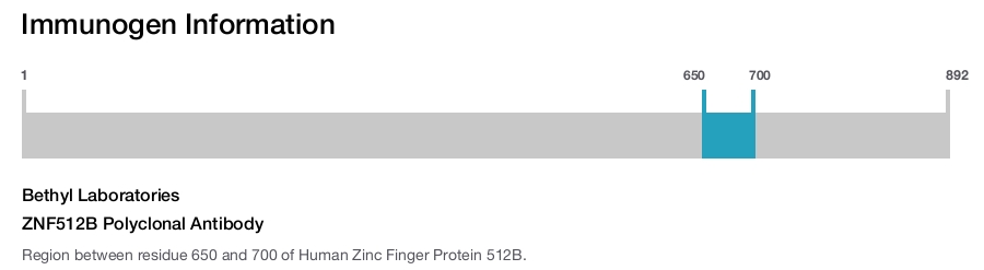 ZNF512B Polyclonal Antibody