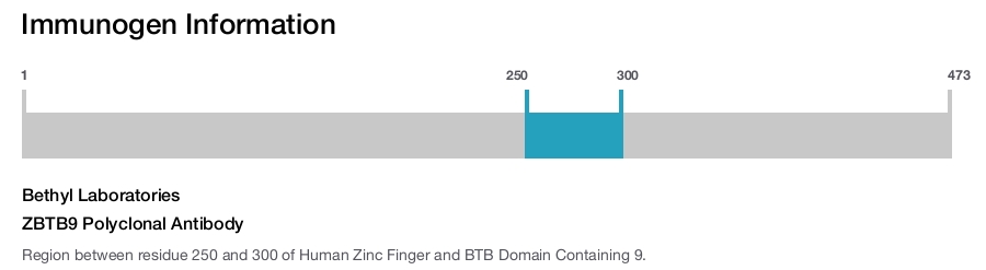 ZBTB9 Polyclonal Antibody