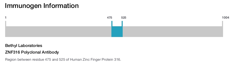 ZNF316 Polyclonal Antibody