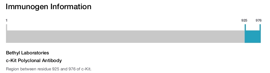 c-Kit Polyclonal Antibody