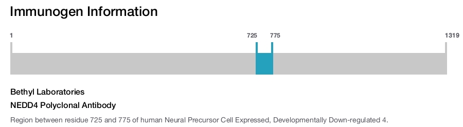 NEDD4 Polyclonal Antibody