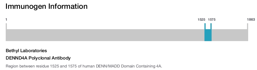 DENND4A Polyclonal Antibody