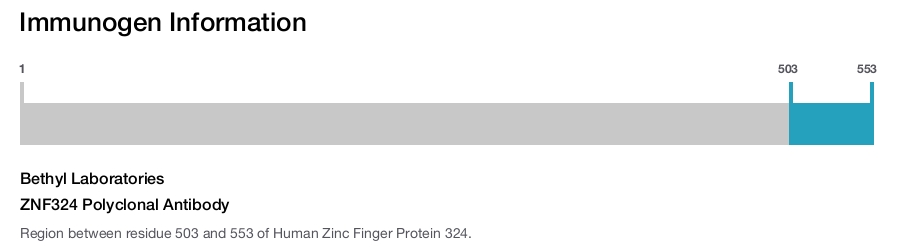 ZNF324 Polyclonal Antibody