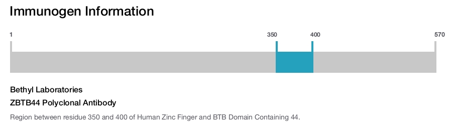 ZBTB44 Polyclonal Antibody