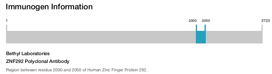 ZNF292 Polyclonal Antibody