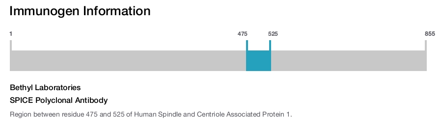 SPICE Polyclonal Antibody