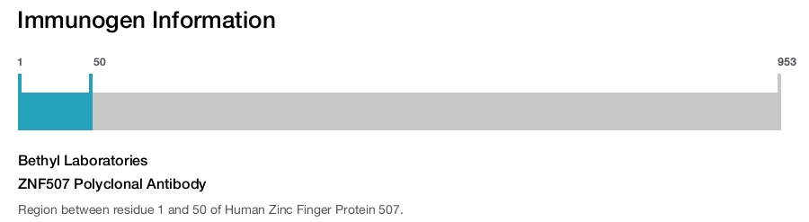 ZNF507 Polyclonal Antibody