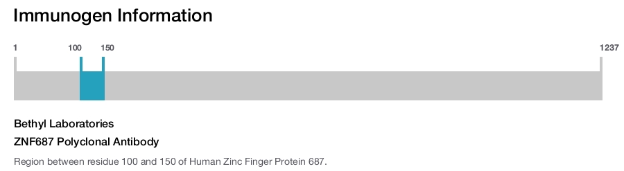ZNF687 Polyclonal Antibody