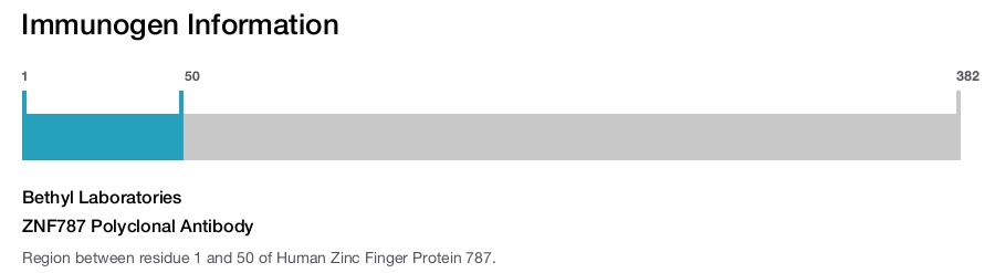 ZNF787 Polyclonal Antibody