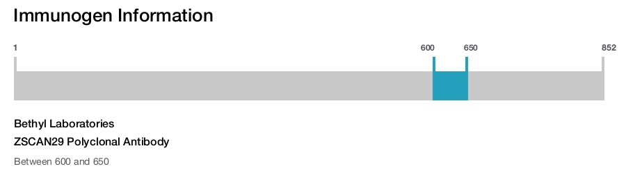 ZSCAN29 Polyclonal Antibody