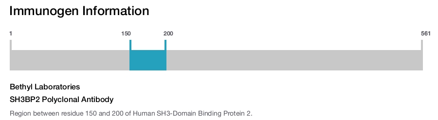 SH3BP2 Polyclonal Antibody